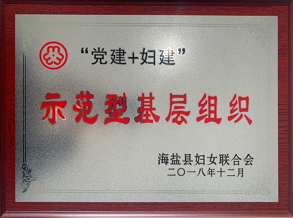 201903集團(tuán)-海鹽縣“黨建+婦建”示范型基層組織.jpg