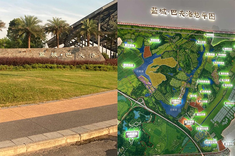 1599266060975253.jpg 巴夫洛5.jpg