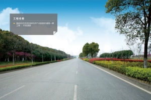 海鹽經(jīng)濟(jì)開(kāi)發(fā)區(qū)新經(jīng)濟(jì)產(chǎn)業(yè)園園區(qū)道路一期工程，市政道路